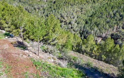 Byggetomt i et boligområde i Altea la Vella.